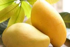 Top 10 cây trồng nông nghiệp cho giá trị kinh tế cao 