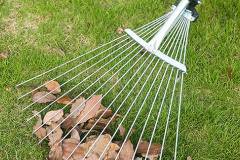 Các loại chổi cào cỏ phổ biến trên thị trường hiện nay