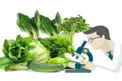 Tìm hiểu về chứng nhận kiểm dịch thực vật 