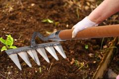 Lưỡi cào cỏ đa năng – Công dụng, cấu tạo và cách sử dụng