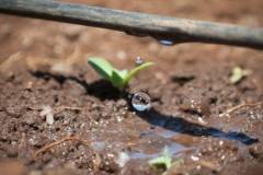 Tìm hiểu một số mô hình nông nghiệp công nghệ cao trên thế giới