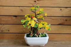 Cách chọn cây mai vàng đẹp để chưng tết rước tài lộc vào nhà