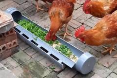 Cách làm máng ăn cho gà bằng ống nhựa đơn giản, tiết kiệm