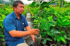 Túi ươm cây nông nghiệp là gì? Kinh nghiệm lựa chọn cho bà con