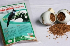Chế độ dinh dưỡng cho chào mào qua từng giai đoạn phát triển