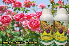 Chế phẩm đậu tương cho hoa hồng: thành phần và cách sử dụng