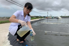 Sáng chế chế phẩm làm sạch nước cho ao nuôi tôm cá từ nữ Tiến sĩ Việt Nam
