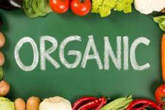 Chứng nhận Organic EU là gì? Điều kiện để đạt chứng chỉ này tại Việt Nam