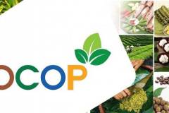 Chứng nhận OCOP là gì? 5 điều cần biết về OCOP