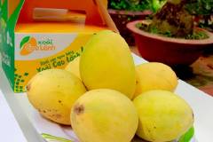 Top những món đặc sản Cao Lãnh ngon trứ danh