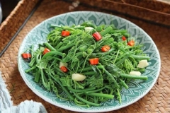 Đặc sản Tam Đảo ngọn su su - món ăn dân dã gây thương nhớ 