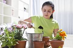 Gợi ý các cách bổ sung dinh dưỡng cho cây trong nhà