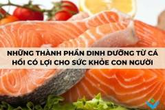 Những thành phần dinh dưỡng từ cá hồi có lợi cho sức khỏe con người