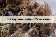 Giá trị dinh dưỡng từ cua đồng