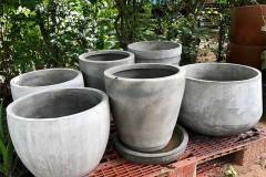 Top những dụng cụ trồng cây cảnh không thể thiếu khi làm vườn