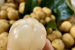 Tham khảo giá bòn bon và cách chọn mua bòn bon ngon ngọt