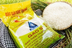 Tham khảo giá gạo hiện nay