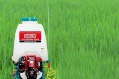 Tham khảo giá máy phun thuốc sâu chạy bằng xăng được dùng phổ biến hiện nay