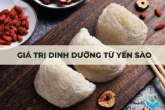 Giá trị dinh dưỡng từ yến sào