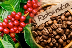 Giá cà phê hôm nay 8/12: Quay đầu giảm 600 đồng/kg sau phiên tăng hôm qua