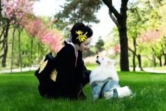 Giống chó Japanese Spitz: Tìm hiểu nguồn gốc, đặc điểm ngoại hình, tính cách 