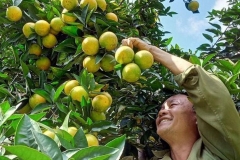 Sắp ra mắt Cổng thông tin điện tử hỗ trợ hộ sản xuất nông nghiệp
