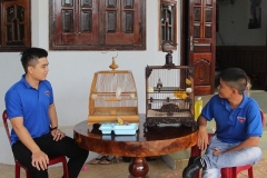 Làm giàu từ nuôi chim cảnh sinh sản