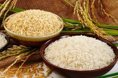 Tăng vựa lúa toàn cầu mà không gây hại cho hành tinh