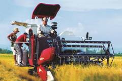 Máy gặt Yanmar yh850 giá bao nhiêu? 