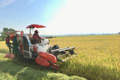 Máy thu hoạch lúa: công dụng, cấu tạo và nguyên lý hoạt động 