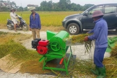 Giá máy tuốt lúa mini trên thị trường - Nguyên lý hoạt động và cách sử dụng máy tuốt lúa mini