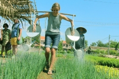 Các mô hình nông nghiệp hiệu quả cao nên áp dụng