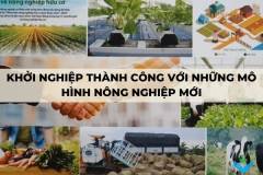 Khởi nghiệp thành công với những mô hình nông nghiệp mới