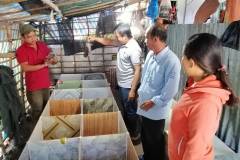 Lão nông phát triển mô hình nuôi con Dúi thu lợi nhuận cao 
