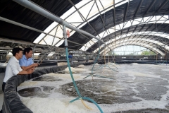 5 Mô hình nuôi tôm công nghệ cao - Nhà nông cần biết