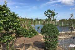 Các mô hình nông nghiệp sinh thái phổ biến hiện nay