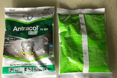 Các loại thuốc trị nấm hại cây trồng hiệu quả 