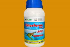 Top các loại thuốc đặc trị nhện đỏ trên cây mai vàng hiệu quả