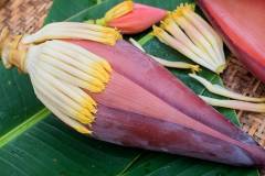 Hướng dẫn cách làm món nộm hoa chuối chay thanh mát cho ngày nắng nóng