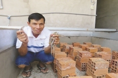 Mô hình nuôi rắn mối kiếm kiếm từ triệu của thầy giáo thể dục miền Tây