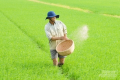 Khủng hoảng phân bón làm suy yếu ngành nông nghiệp