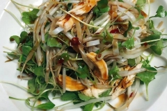 5 món ăn ngon từ rau mầm chế biến đơn giản và bổ dưỡng cho sức khỏe