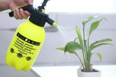 Phòng bình xịt nước tưới cây bị rò rỉ nước ở cần phun