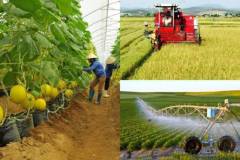 Hiệu quả từ việc ứng dụng CNTT trong nông nghiệp