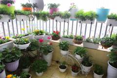 Biện pháp phòng ngừa sâu bệnh hại cây cảnh hiệu quả 
