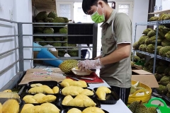 Xây dựng thương hiệu cho sầu riêng Việt