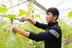 Phấn đấu mỗi HTX thanh niên là một doanh nghiệp ứng dụng công nghệ số