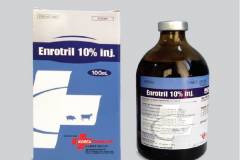 Thuốc đặc trị ecoli cho vịt hiệu quả nhất hiện nay