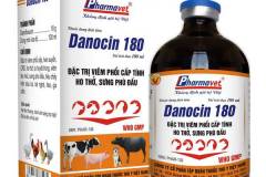 Thuốc đặc trị bệnh khò khè ở gà đạt hiệu quả cao