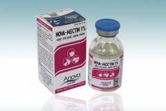 Tìm hiểu các loại thuốc trị bệnh ghẻ ở thỏ hiệu quả 
